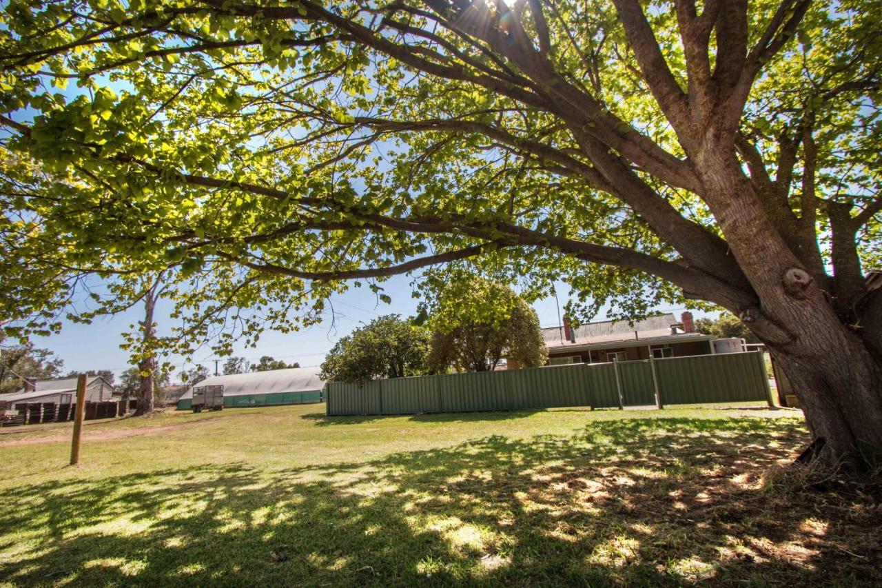 Glenlee Apartment Wall Flat